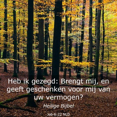 Picture 03 - Job 6:22 NLD - Heb ik gezegd: Brengt mij, en geeft geschenken - Bible Verse Picture