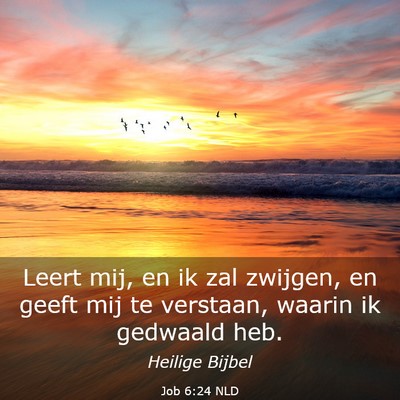 Picture 03 - Job 6:24 NLD - Leert mij, en ik zal zwijgen, en geeft mij te - Bible Verse Picture