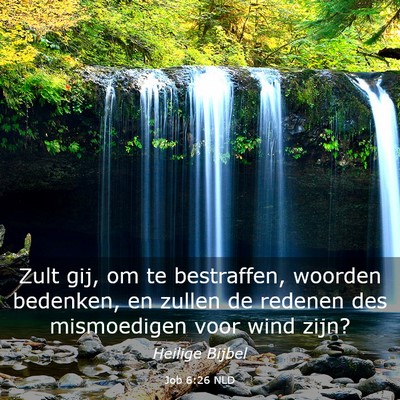 Picture 03 - Job 6:26 NLD - Zult gij, om te bestraffen, woorden bedenken, en - Bible Verse Picture