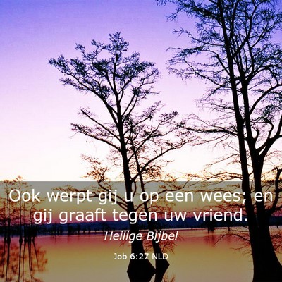 Picture 03 - Job 6:27 NLD - Ook werpt gij u op een wees; en gij graaft tegen - Bible Verse Picture
