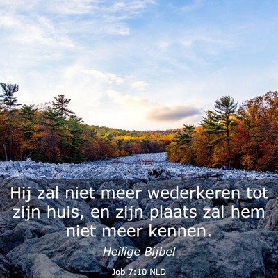 Picture 03 - Job 7:10 NLD - Hij zal niet meer wederkeren tot zijn huis, en - Bible Verse Picture