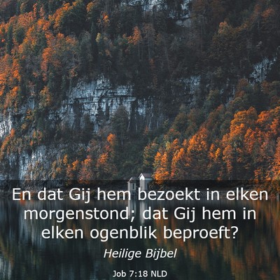 Picture 03 - Job 7:18 NLD - En dat Gij hem bezoekt in elken morgenstond; dat - Bible Verse Picture