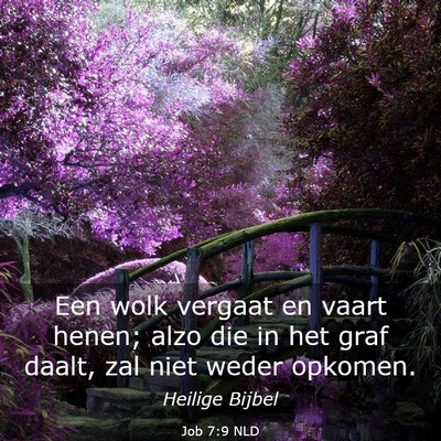 Picture 03 - Job 7:9 NLD - Een wolk vergaat en vaart henen; alzo die in het - Bible Verse Picture