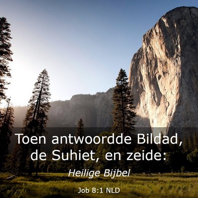 Picture 03 - Job 8:1 NLD - Toen antwoordde Bildad, de Suhiet, en - Bible Verse Picture