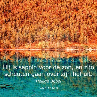 Picture 03 - Job 8:16 NLD - Hij is sappig voor de zon, en zijn scheuten gaan - Bible Verse Picture