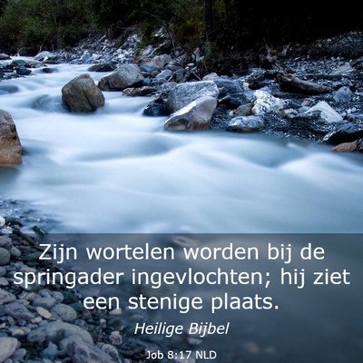 Picture 03 - Job 8:17 NLD - Zijn wortelen worden bij de springader - Bible Verse Picture