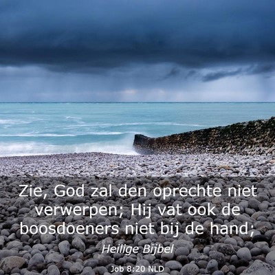Picture 03 - Job 8:20 NLD - Zie, God zal den oprechte niet verwerpen; Hij vat - Bible Verse Picture