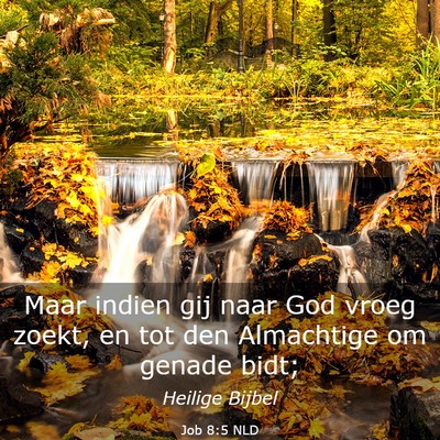 Picture 03 - Job 8:5 NLD - Maar indien gij naar God vroeg zoekt, en tot den - Bible Verse Picture