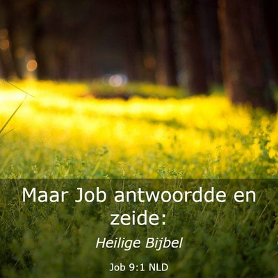 Picture 03 - Job 9:1 NLD - Maar Job antwoordde en - Bible Verse Picture