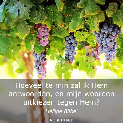 Picture 03 - Job 9:14 NLD - Hoeveel te min zal ik Hem antwoorden, en mijn - Bible Verse Picture