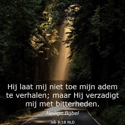 Picture 03 - Job 9:18 NLD - Hij laat mij niet toe mijn adem te verhalen; maar - Bible Verse Picture