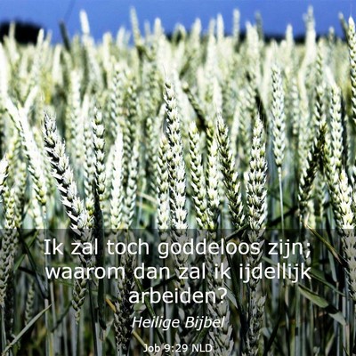 Picture 03 - Job 9:29 NLD - Ik zal toch goddeloos zijn; waarom dan zal ik - Bible Verse Picture