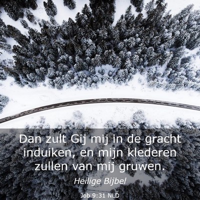 Picture 03 - Job 9:31 NLD - Dan zult Gij mij in de gracht induiken, en mijn - Bible Verse Picture