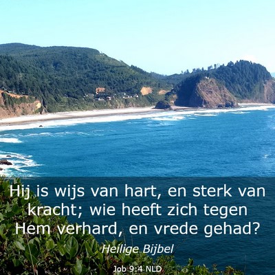 Picture 03 - Job 9:4 NLD - Hij is wijs van hart, en sterk van kracht; wie - Bible Verse Picture