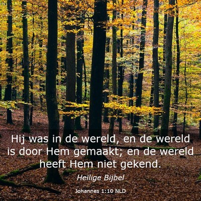 Picture 03 - Johannes 1:10 NLD - Hij was in de wereld, en de wereld is door Hem - Bible Verse Picture