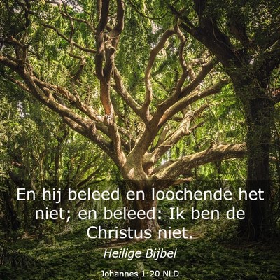 Picture 03 - Johannes 1:20 NLD - En hij beleed en loochende het niet; en beleed: - Bible Verse Picture