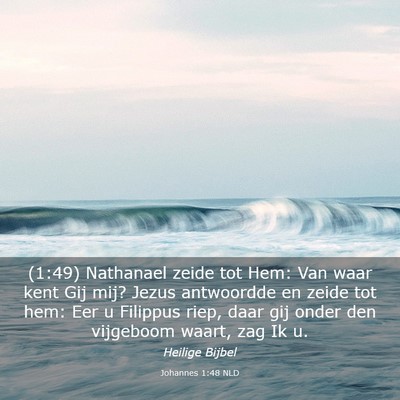 Picture 03 - Johannes 1:48 NLD - (1:49) Nathanael zeide tot Hem: Van waar kent Gij - Bible Verse Picture