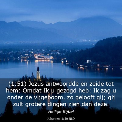 Picture 03 - Johannes 1:50 NLD - (1:51) Jezus antwoordde en zeide tot hem: Omdat - Bible Verse Picture