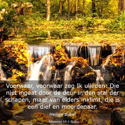 Picture 03 - Johannes 10:1 NLD - Voorwaar, voorwaar zeg Ik ulieden: Die niet - Bible Verse Picture