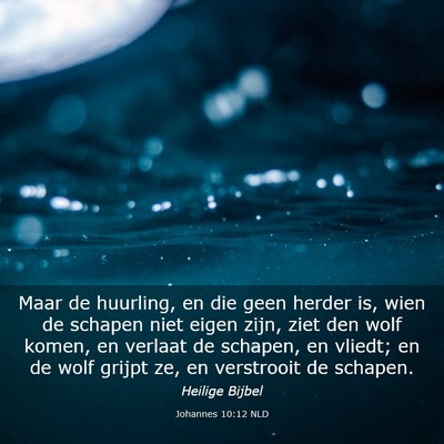 Picture 03 - Johannes 10:12 NLD - Maar de huurling, en die geen herder is, wien de - Bible Verse Picture