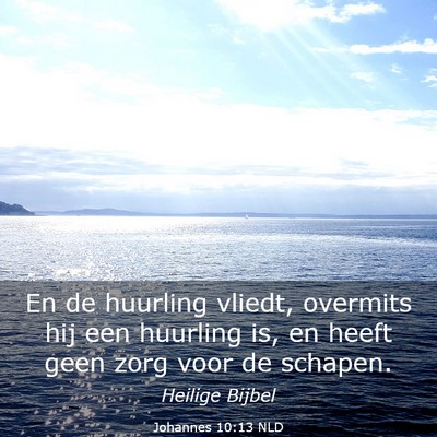 Picture 03 - Johannes 10:13 NLD - En de huurling vliedt, overmits hij een huurling - Bible Verse Picture