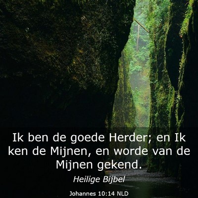 Picture 03 - Johannes 10:14 NLD - Ik ben de goede Herder; en Ik ken de Mijnen, en - Bible Verse Picture