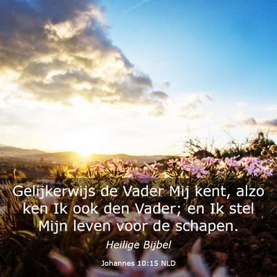 Picture 03 - Johannes 10:15 NLD - Gelijkerwijs de Vader Mij kent, alzo ken Ik ook - Bible Verse Picture