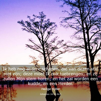 Picture 03 - Johannes 10:16 NLD - Ik heb nog andere schapen, die van dezen stal - Bible Verse Picture