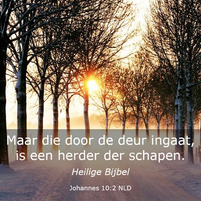 Picture 03 - Johannes 10:2 NLD - Maar die door de deur ingaat, is een herder der - Bible Verse Picture