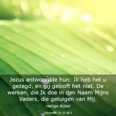 Picture 03 - Johannes 10:25 NLD - Jezus antwoordde hun: Ik heb het u gezegd, en gij - Bible Verse Picture