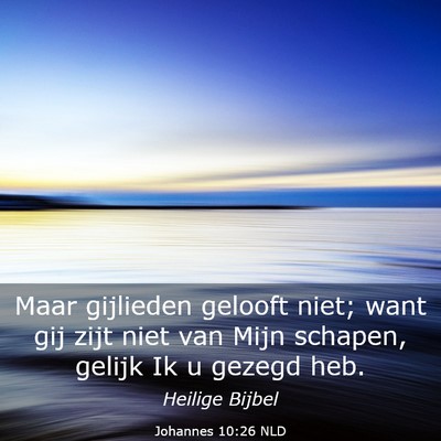 Picture 03 - Johannes 10:26 NLD - Maar gijlieden gelooft niet; want gij zijt niet - Bible Verse Picture