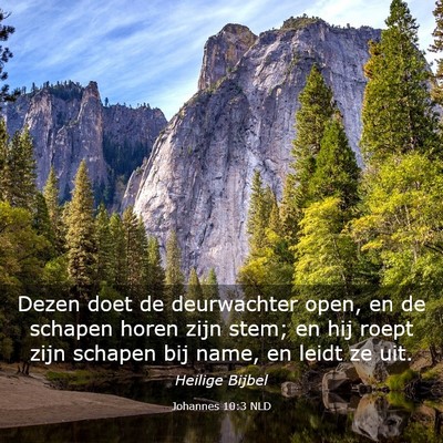Picture 03 - Johannes 10:3 NLD - Dezen doet de deurwachter open, en de schapen - Bible Verse Picture
