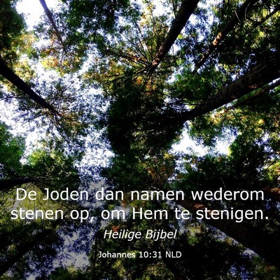 Picture 03 - Johannes 10:31 NLD - De Joden dan namen wederom stenen op, om Hem te - Bible Verse Picture