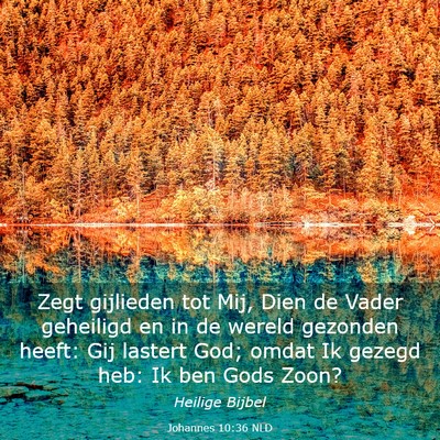 Picture 03 - Johannes 10:36 NLD - Zegt gijlieden tot Mij, Dien de Vader geheiligd - Bible Verse Picture