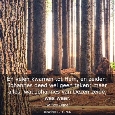 Picture 03 - Johannes 10:41 NLD - En velen kwamen tot Hem, en zeiden: Johannes deed - Bible Verse Picture