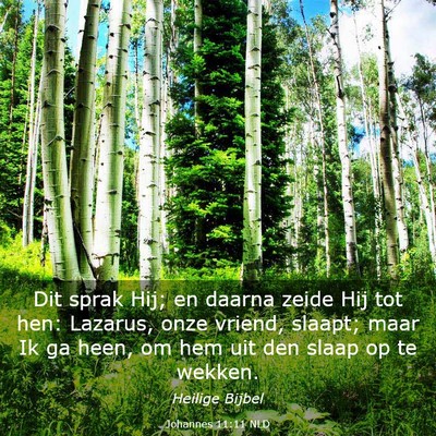 Picture 03 - Johannes 11:11 NLD - Dit sprak Hij; en daarna zeide Hij tot hen: - Bible Verse Picture