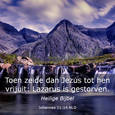 Picture 03 - Johannes 11:14 NLD - Toen zeide dan Jezus tot hen vrijuit: Lazarus is - Bible Verse Picture