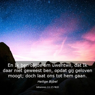 Picture 03 - Johannes 11:15 NLD - En Ik ben blijde om uwentwil, dat Ik daar niet - Bible Verse Picture