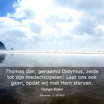 Picture 03 - Johannes 11:16 NLD - Thomas dan, genaamd Didymus, zeide tot zijn - Bible Verse Picture