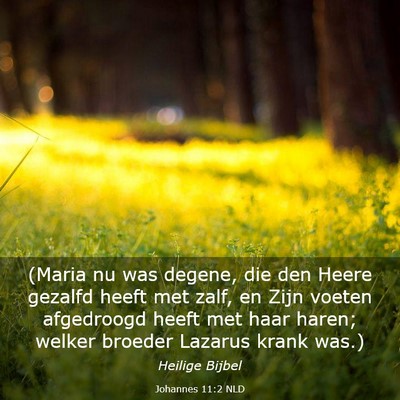 Picture 03 - Johannes 11:2 NLD - (Maria nu was degene, die den Heere gezalfd heeft - Bible Verse Picture