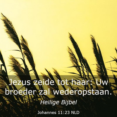 Picture 03 - Johannes 11:23 NLD - Jezus zeide tot haar: Uw broeder zal - Bible Verse Picture