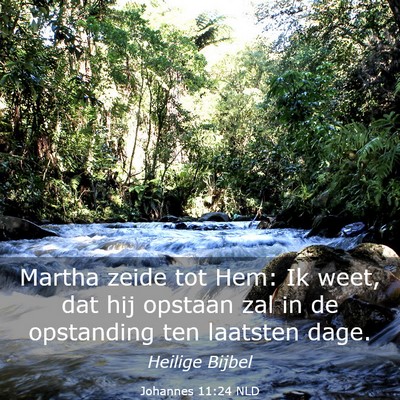 Picture 03 - Johannes 11:24 NLD - Martha zeide tot Hem: Ik weet, dat hij opstaan - Bible Verse Picture