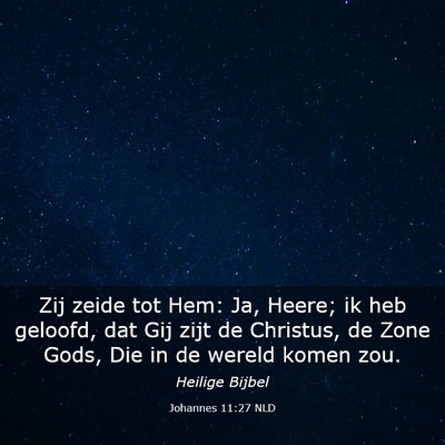Picture 03 - Johannes 11:27 NLD - Zij zeide tot Hem: Ja, Heere; ik heb geloofd, dat - Bible Verse Picture