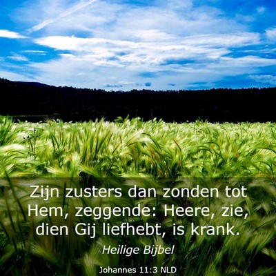 Picture 03 - Johannes 11:3 NLD - Zijn zusters dan zonden tot Hem, zeggende: Heere, - Bible Verse Picture