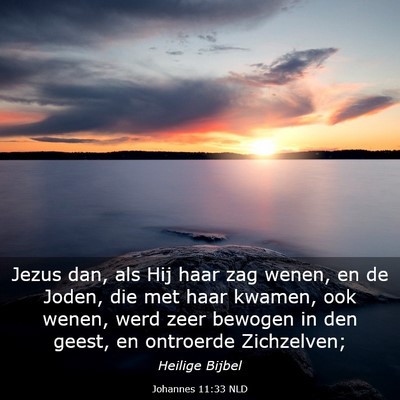 Picture 03 - Johannes 11:33 NLD - Jezus dan, als Hij haar zag wenen, en de Joden, - Bible Verse Picture
