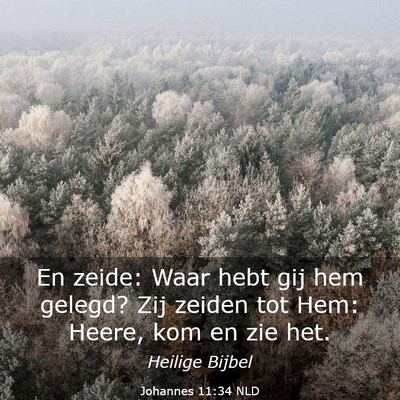 Picture 03 - Johannes 11:34 NLD - En zeide: Waar hebt gij hem gelegd? Zij zeiden - Bible Verse Picture