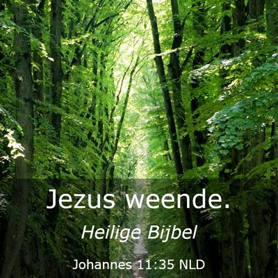 Picture 03 - Johannes 11:35 NLD - Jezus - Bible Verse Picture