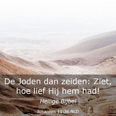 Picture 03 - Johannes 11:36 NLD - De Joden dan zeiden: Ziet, hoe lief Hij hem - Bible Verse Picture