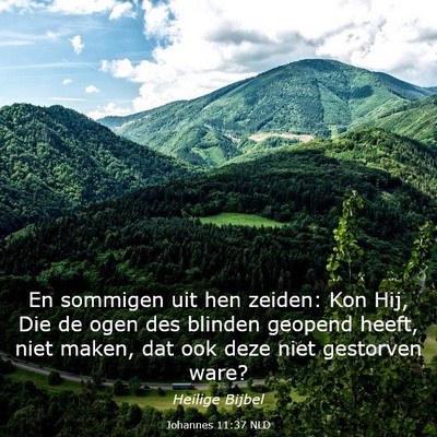 Picture 03 - Johannes 11:37 NLD - En sommigen uit hen zeiden: Kon Hij, Die de ogen - Bible Verse Picture