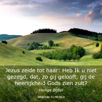 Picture 03 - Johannes 11:40 NLD - Jezus zeide tot haar: Heb Ik u niet gezegd, dat, - Bible Verse Picture